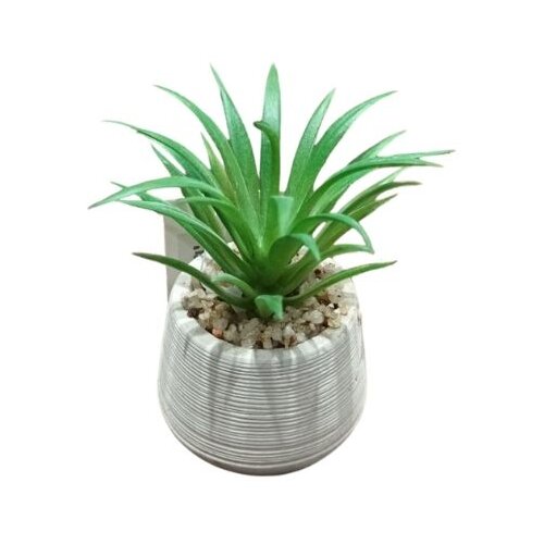 Dekordom cvet u saksiji - succulent round 456 - N44 Slike