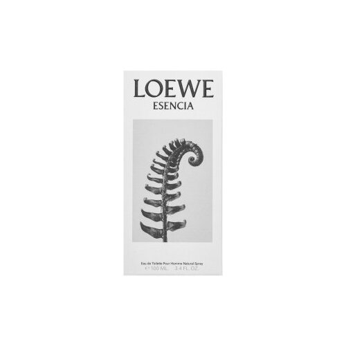 Loewe Esencia toaletna voda za mu&amp;scaron;karce 100 ml Slike