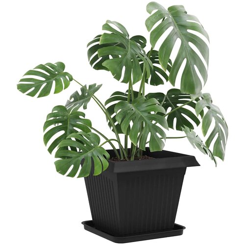  Saksije za biljke 24 pcs Crna 38 x 38 x 30 cm Plastika Slike