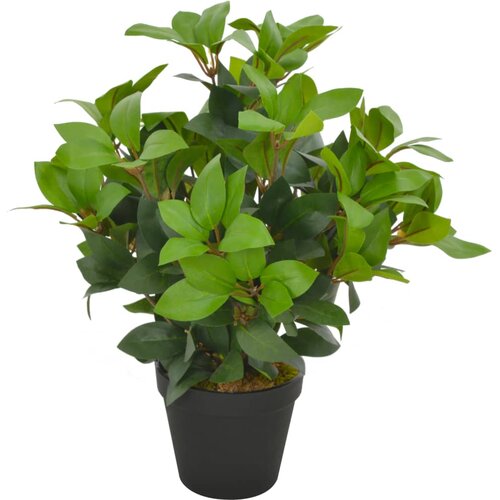 vidaXL Umetna rastlina lovorovo drevo z loncem zelena 40 cm Cene