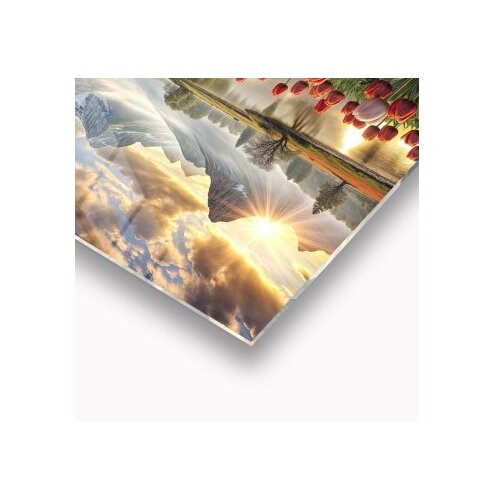 WALLXPERT dekorativna slika od kaljenog stakla tulip 43 x 30 Slike