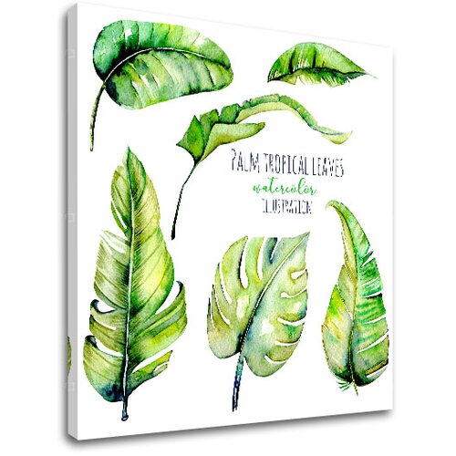  Slike na platnu sa tekstom Palm tropical leaves (moderne slike) Cijene