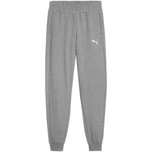 Puma Spodnji deli trenirke Team Goal Siva Cene