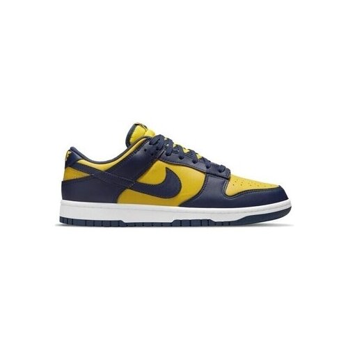 Nike Nizke superge Dunk Low pisana Cene