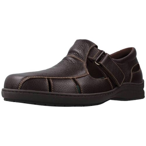 Pinoso's 6008H Smeđa Cijene