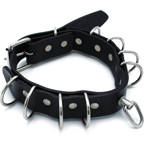 Kiotos Leather Collar Multi-D-Rings Black Slike