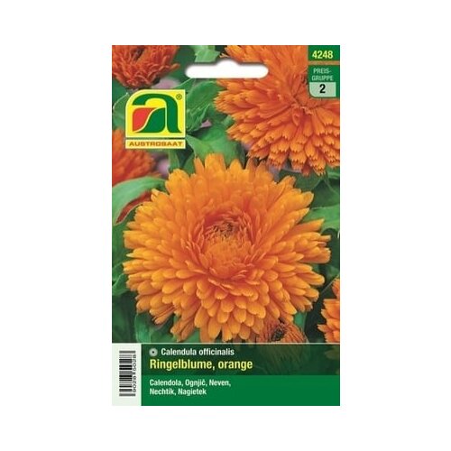 AUSTROSAAT Ognjič "Calendula Balls oranžen" Cene
