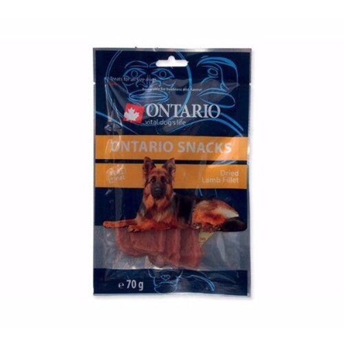 Ontario Snack Dry file ovce - 70 g Cene