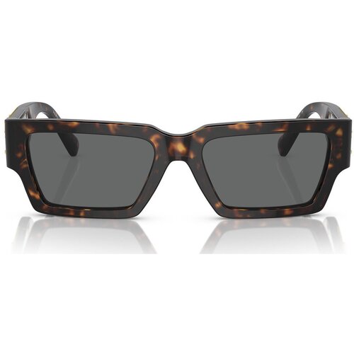 Versace Naočare za sunce VE 4459 108/87 Cene