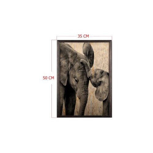 Wallity slika elephant baby, 35 x 50 cm Cene
