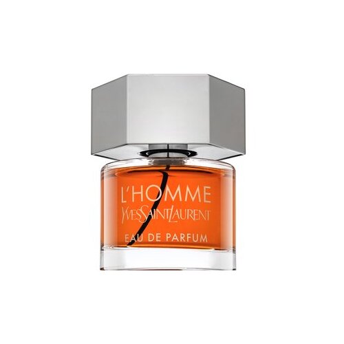 Yves Saint Laurent L'Homme parfumirana voda za mo&scaron;ke 60 ml Cene