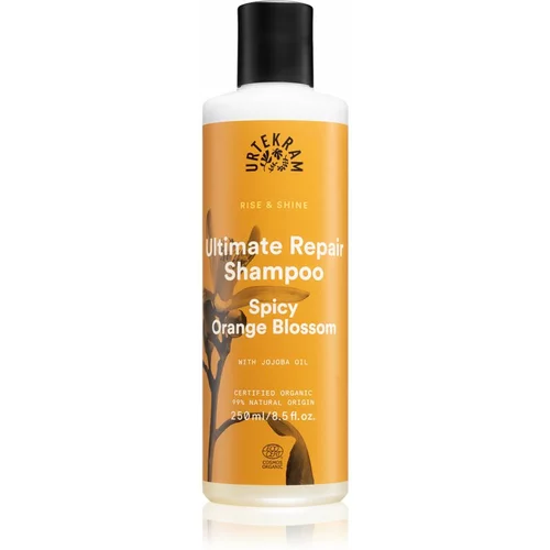 Urtekram Spicy Orange Blossom šampon za suhu i oštećenu kosu 250 ml
