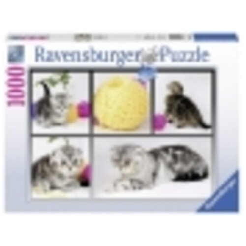 Ravensburger puzzle (slagalice) - znatizeljni macici Cene