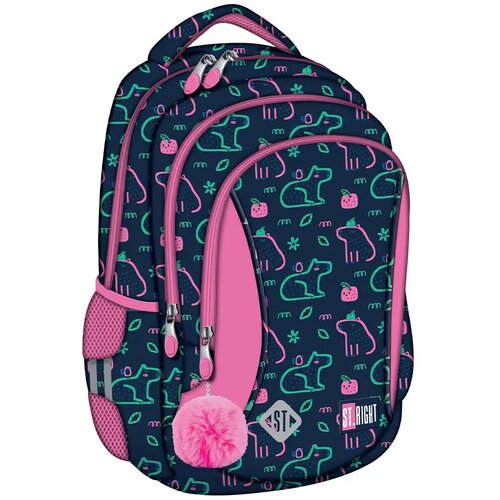 Unipap St.Right Capybara ergonomska &scaron;kolska torba, ruksak BP26 39x27x17 cm Cijene