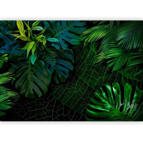 Artgeist Foto tapeta - Dark Jungle 450x315 Cene