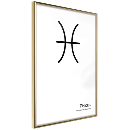  Poster - Zodiac: Pisces II 20x30