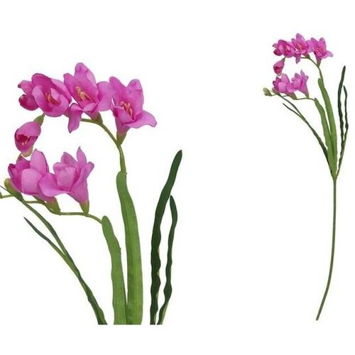  FREZIJA 57CM LJUBIČASTA PVC Cene