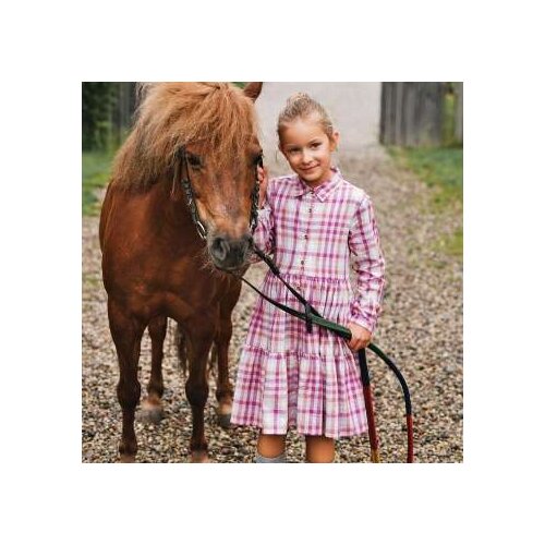 Cool club HALJINA Cijene