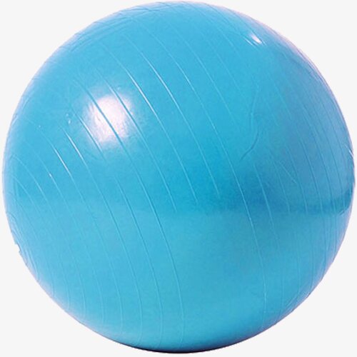 Capriolo Fitnes lopta Lopta za pilates 75cm Cijene