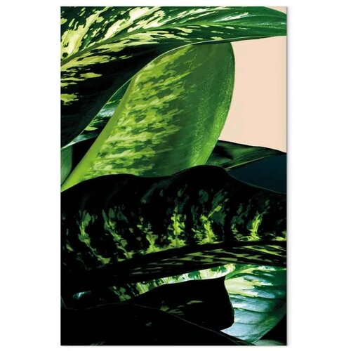  Slika - Dieffenbachia (1 Part) Vertical 40x60 Slike