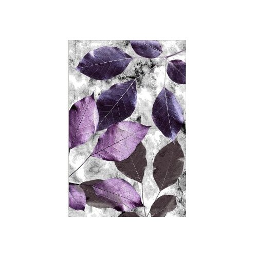Conceptum Hypnose tepih (100x300) Hmnt572 Slike