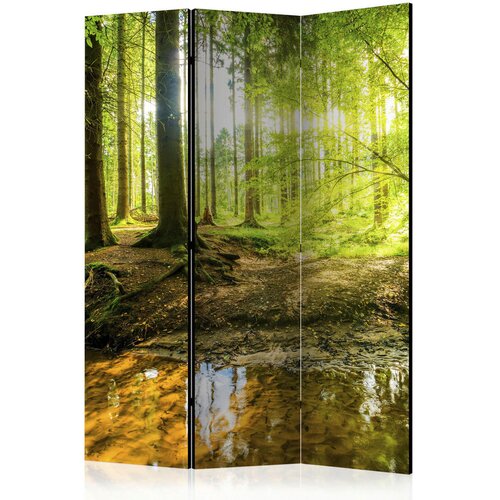Artgeist PARAVAN 135/172/3 cm rjava, zelena Cene