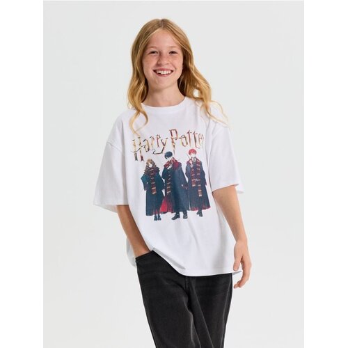Sinsay Pamučna oversize majica s printom Harry Potter Slike