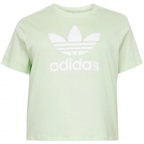 Adidas Majica 'Trefoil' pastelno zelena / bela
