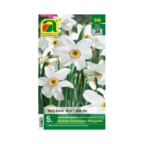 AUSTROSAAT Cvetna čebulica Poet's Daffodils &ldquo;Recurvus&rdquo; Cene