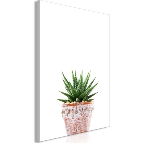  Slika - Succulents In Pot (1 Part) Vertical 60x90 Cijene