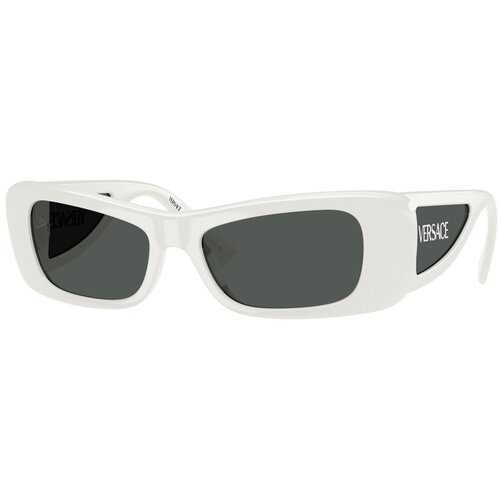 Versace Naočare za sunce VE 4481 314/87 Cene