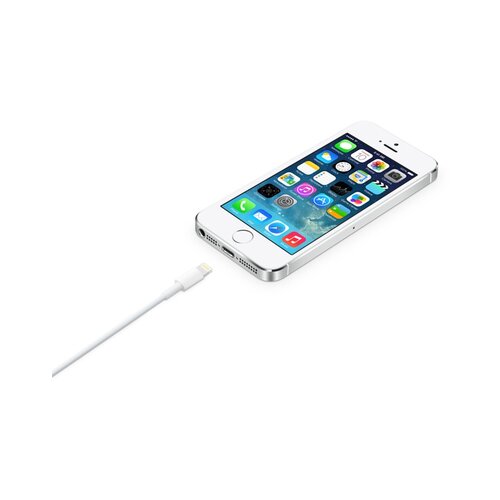 Apple LIGHTNING TO USB CABLE (2M) Cene