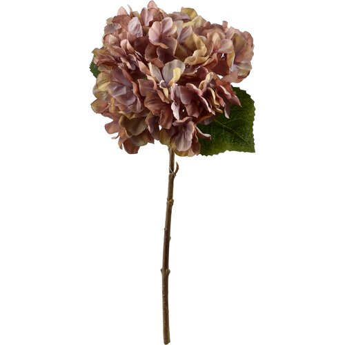 Mondex hortenzija plastika Viridis 35cm zelena 1kos, (5000331411) Slike