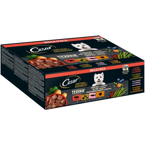  15 % popusta! Cesar mješovito pakiranje - Natural Goodness: Terrine Mix (perad, puretina, govedina, losos) (24 x 100 g)