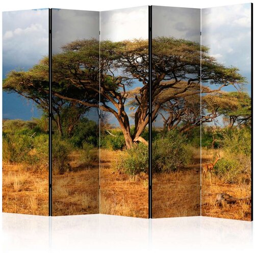  Paravan u 5 dijelova - Samburu National Reserve Kenya II [Room Dividers] 225x172 Cijene