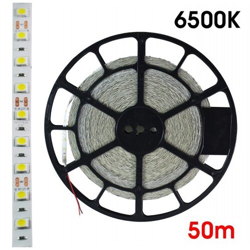Mitea Lighting smd led traka 4.5W/1m 12V 6500K IP20 50m kotur - set 60 LED/1m MLR-2835-60-ML Cene