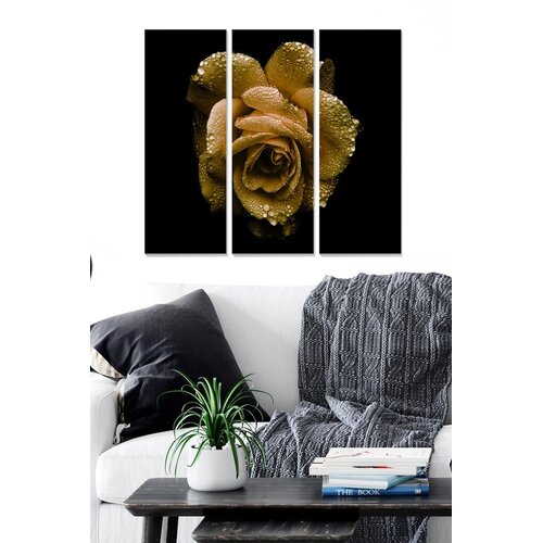 Wallity Set slika MDF655359, 3 dijela Cene