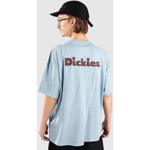 Dickies Slayden Gd T-shirt glacier lake Slike