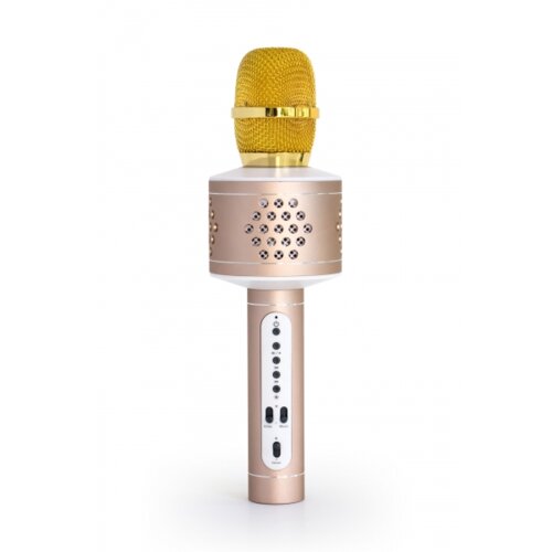 Music Man Mikrofon Karaoke PRO BT-X35 zlat/srebrn, (20442091) Cene