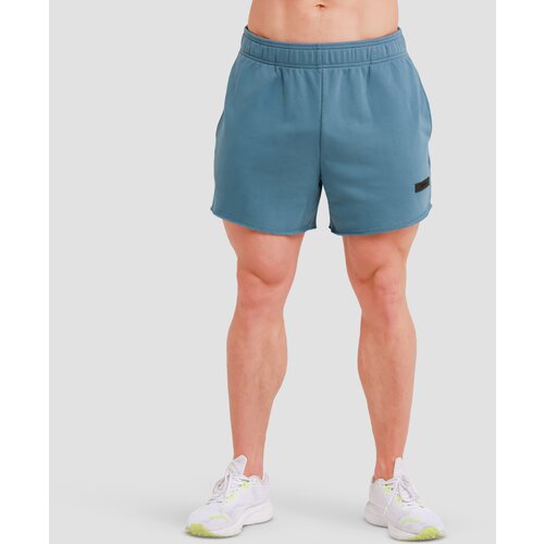 GymBeam Muške kratke hlače Unity Blue Cijene