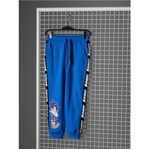 Sinsay Hlače s printom Sonic the Hedgehog Cijene