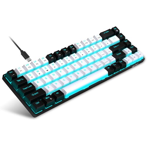 Venisymlis V800BW Mehanska tipkovnica z 68 tipkami - modro stikalo z možnostjo vroče menjave (ledeno modra LED), (22105461) Slike