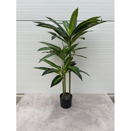 Polydecor Veštačka biljka Brazilian Wood, 110 cm, Zelena Cene
