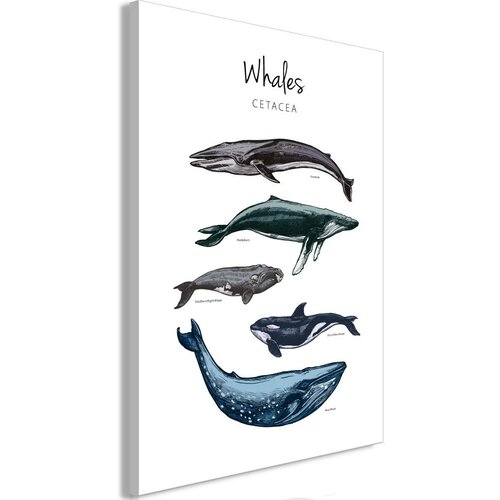  Slika - Whales (1 Part) Vertical 40x60 Slike