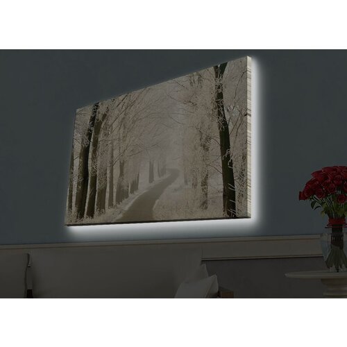 Wallity Slika sa LED osvetljenjem 4570HDACT-057, 45x70 cm Cene