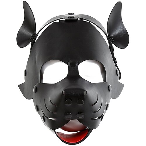 Kiotos Puppy Mask Cene
