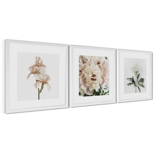 Styler Tiskane slike v kompletu 3 ks z okvirjem 30x30 cm Posy &amp;ndash; Slike