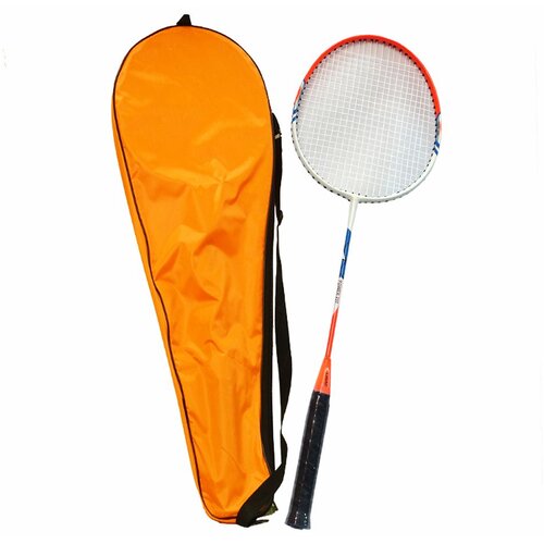 Denis Toys Reket za badminton Cene