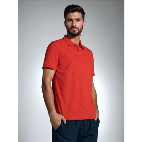 Sinsay Polo-majica Slike