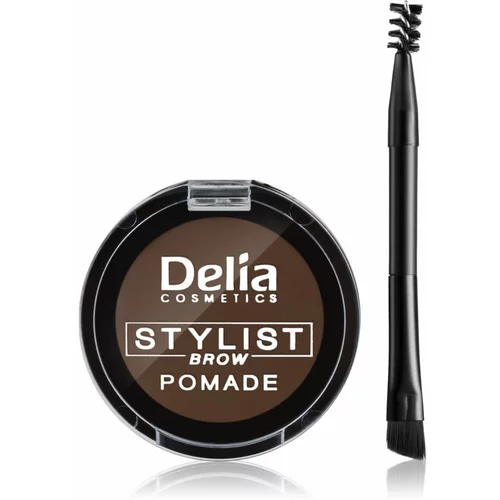 Delia Cosmetics Eyebrow Expert pomada za obrvi odtenek Dark Brown 4 g